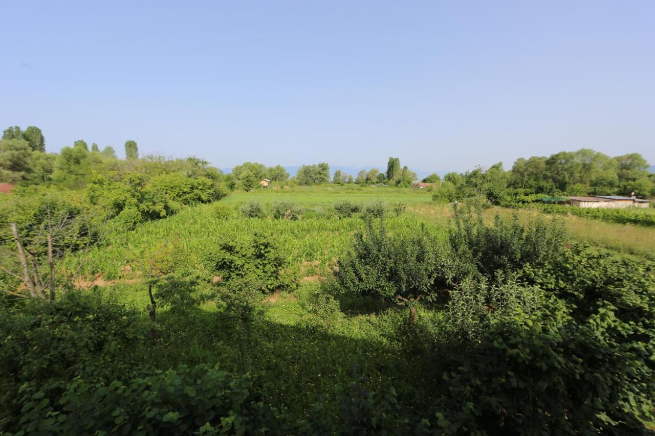 Villa Goriza Prestige Οχρίδα Εξωτερικό φωτογραφία