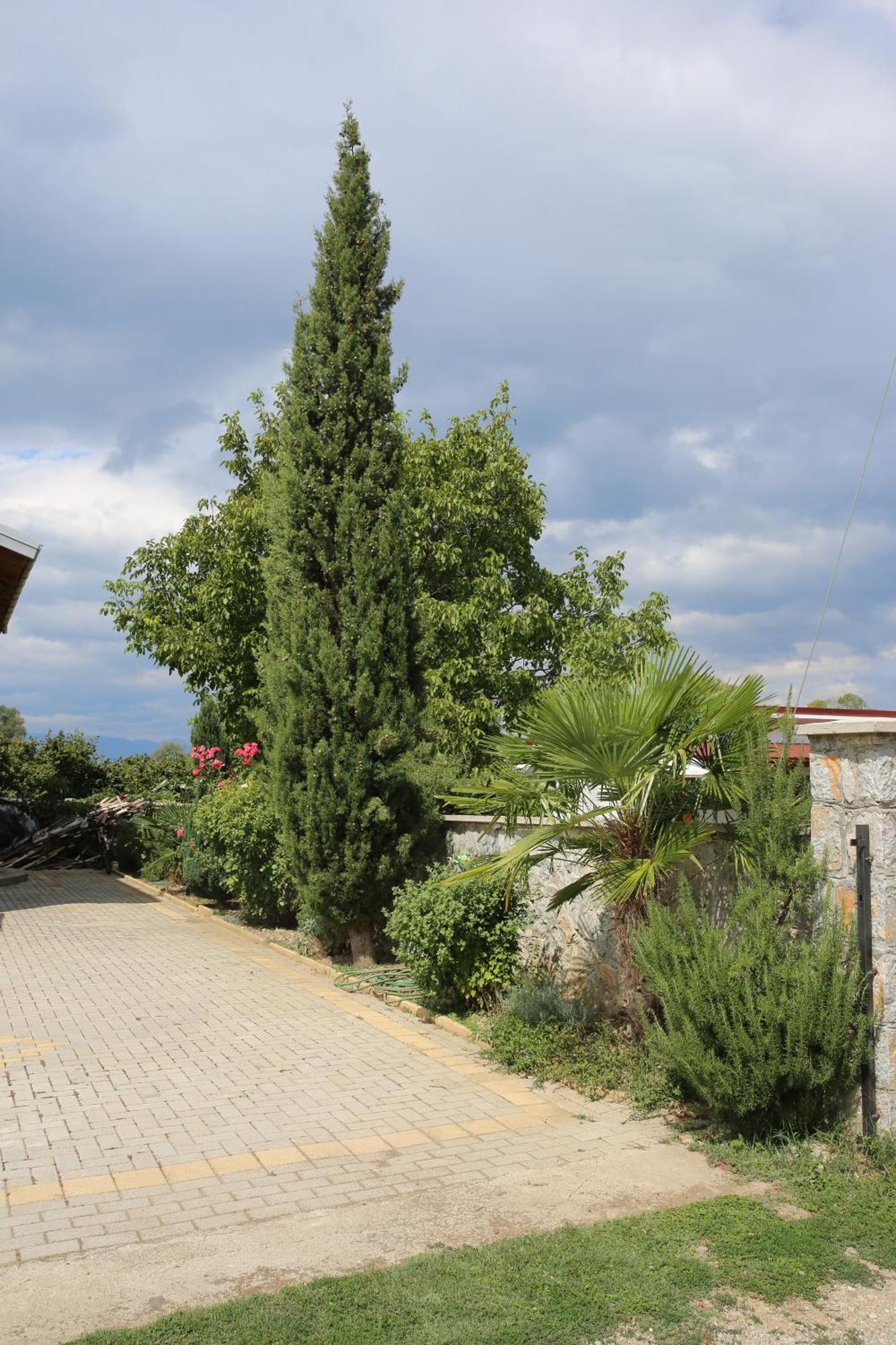 Villa Goriza Prestige Οχρίδα Εξωτερικό φωτογραφία